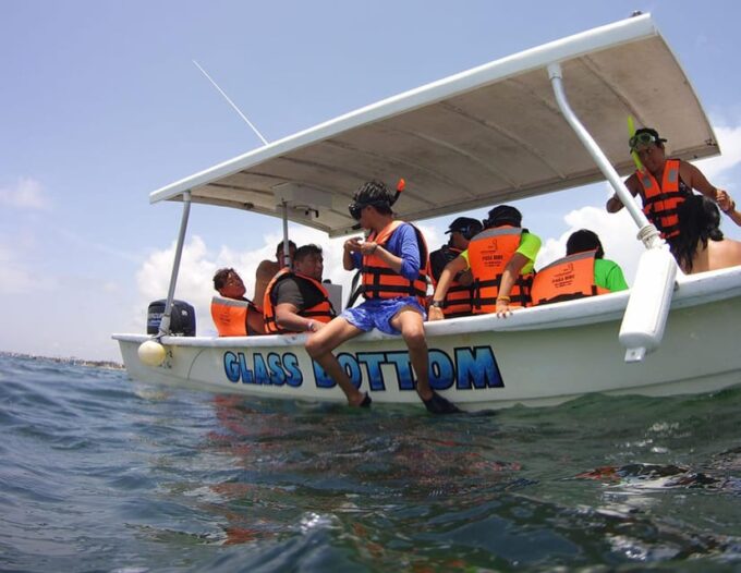 Puerto Morelos: Whale Shark Tour - Transportation and Meals