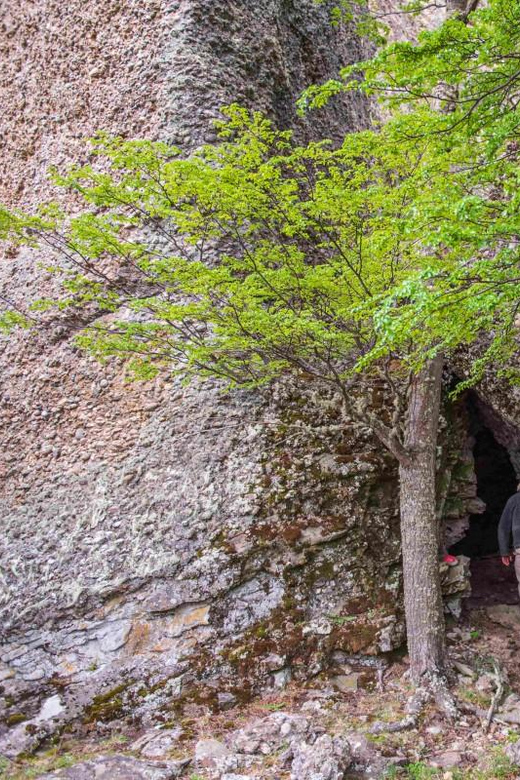 Puerto Natales: Ancient Paintings in Trekking Cerro Benitez - What to Bring and Expect