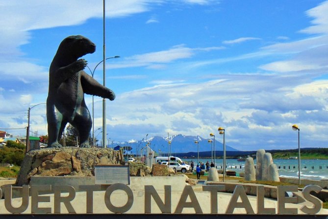 Puerto Natales: Bus Ticket to El Calafate, Argentina - Key Points