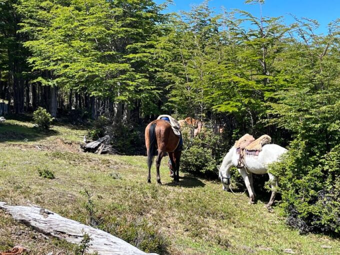 Puerto Natales: Full Day Horse Riding to the Mountains - Meeting and Pick-up