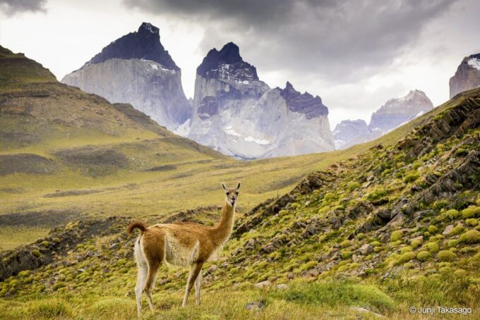 Puerto Natales: Full Day Tour Torres Del Paine National Park - Scenic Viewpoints