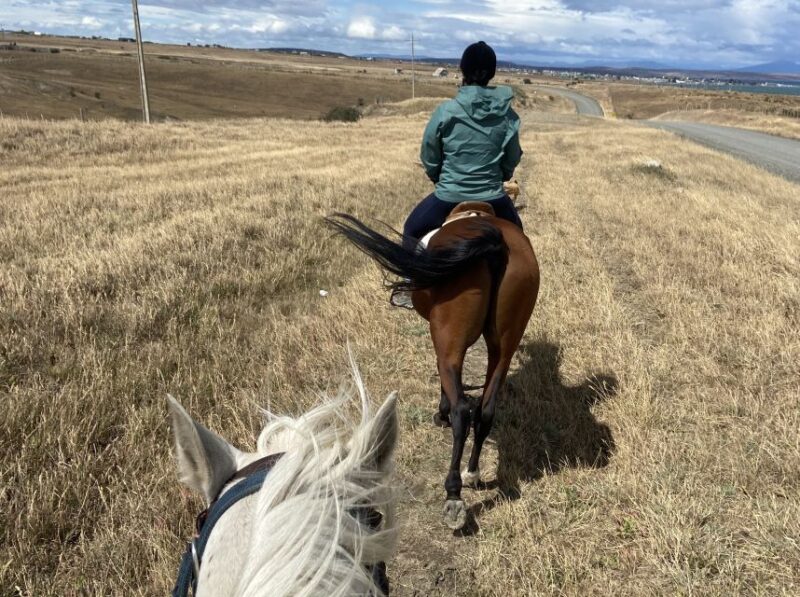 Puerto Natales: Horseback Riding With Horse Connection - Key Points