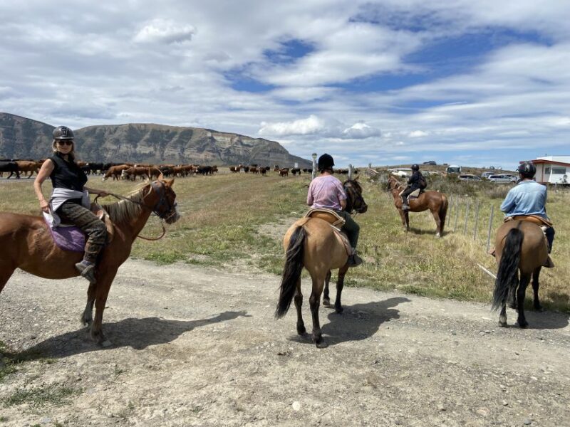 Puerto Natales: Horseback Riding With Horse Connection - Experience Highlights