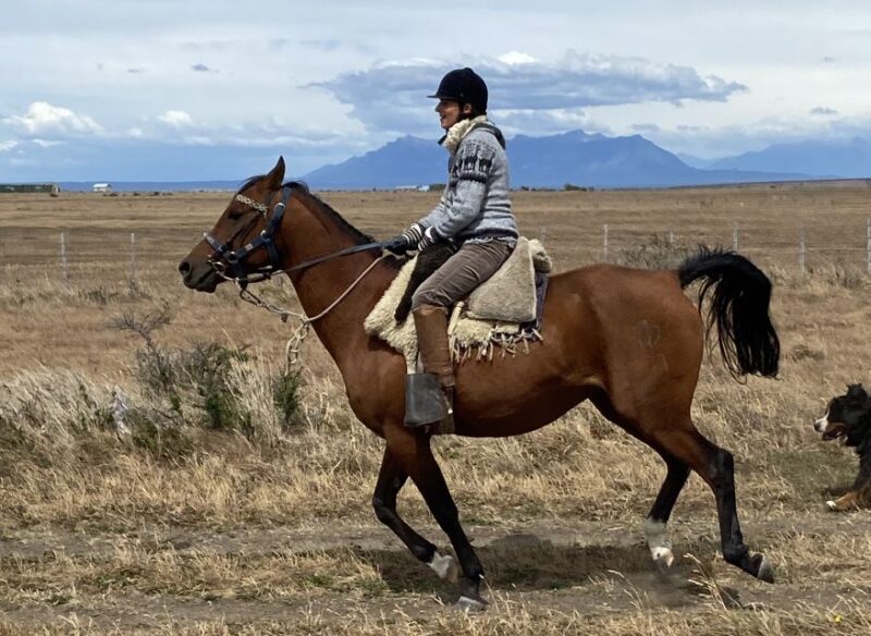 Puerto Natales: Horseback Riding With Horse Connection - Itinerary Details