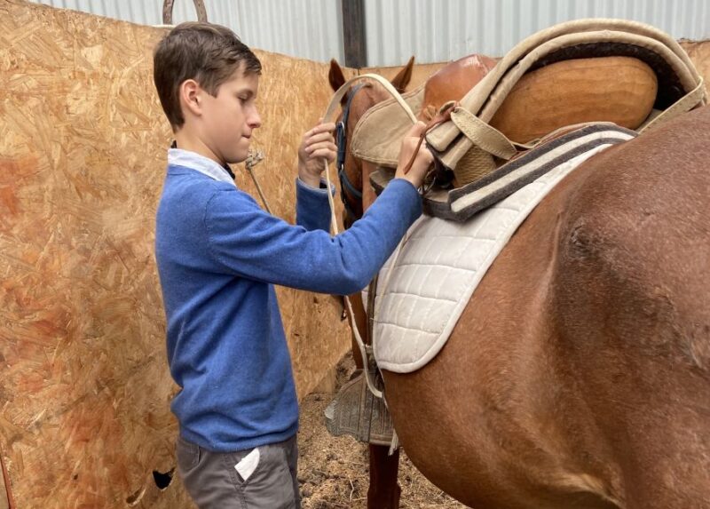 Puerto Natales: Horseback Riding With Horse Connection - Participant Requirements