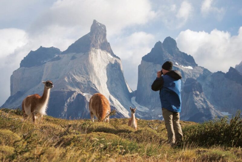 Puerto Natales: Tour Package (Full Day + Torres Base + Grey) - Key Points