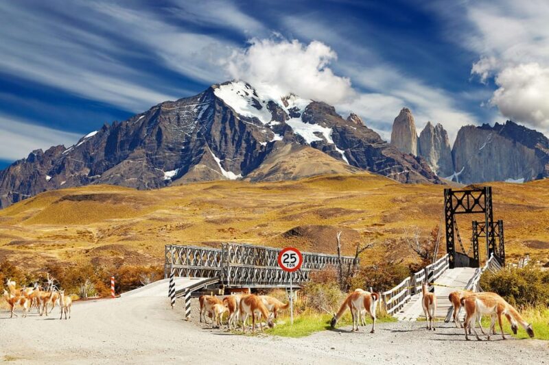 Puerto Natales: Tour Package (Full Day + Torres Base + Grey) - Tour Highlights