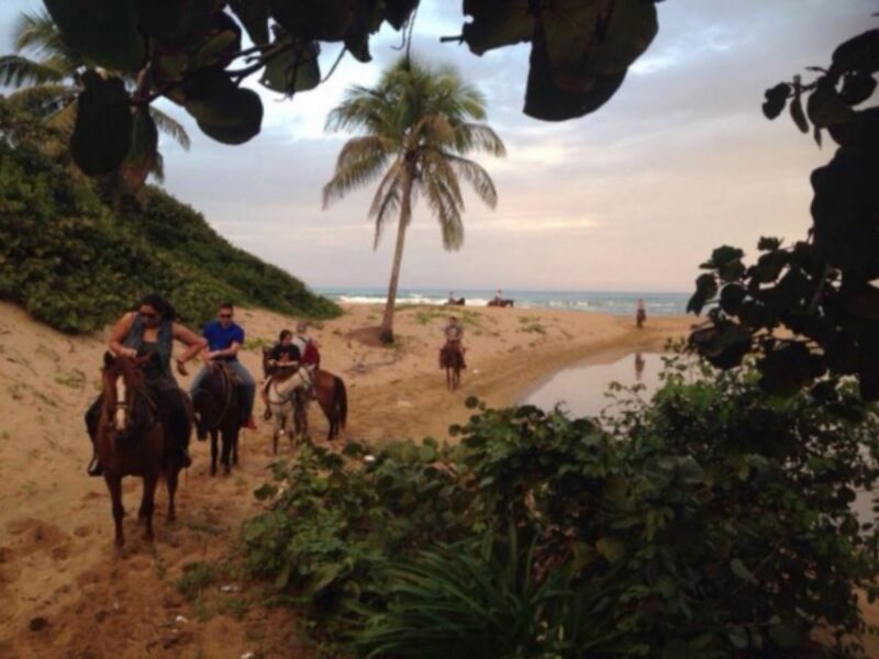 Puerto Plata: 2-Hour Horseback Ride on the Beach - Tour Details