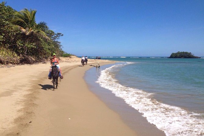 Puerto Plata: Beach Half Day Horseback Riding - Tour Overview