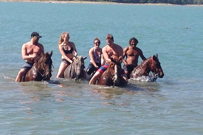 Puerto Plata: Beach Half Day Horseback Riding - Customer Feedback Summary