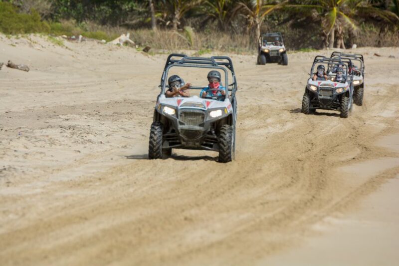 Puerto Plata: Buggy and Zipline Experience - Key Points