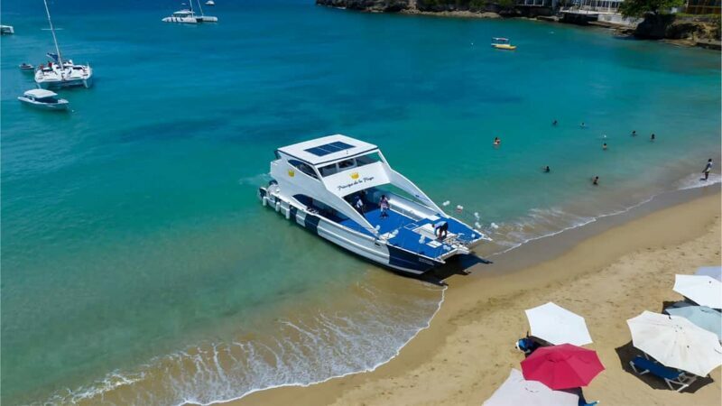 Puerto Plata Catamaran Cruise: Snorkeling, BBQ & Open Bar - Authentic Insights from Reviews