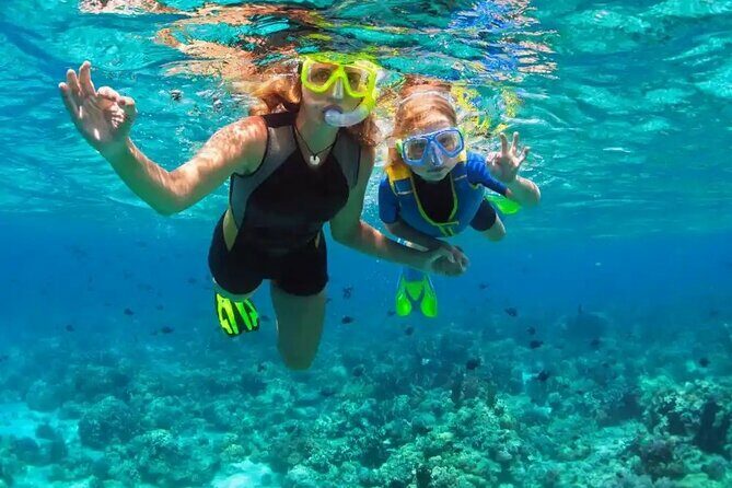 Puerto Plata Catamaran Cruise with Snorkeling, BBQ & Open Bar - The Value of This Tour