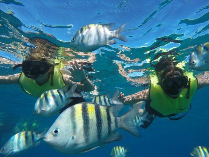 Puerto Plata: Catamaran Snorkeling Trip with Buffet - FAQs