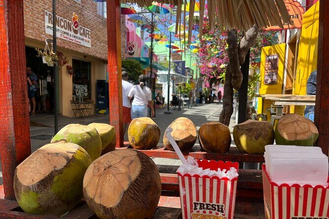 Puerto Plata City Private Tour - Final Thoughts