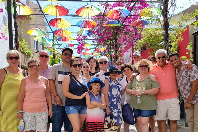 Puerto Plata City Tour - Accessibility and Participation