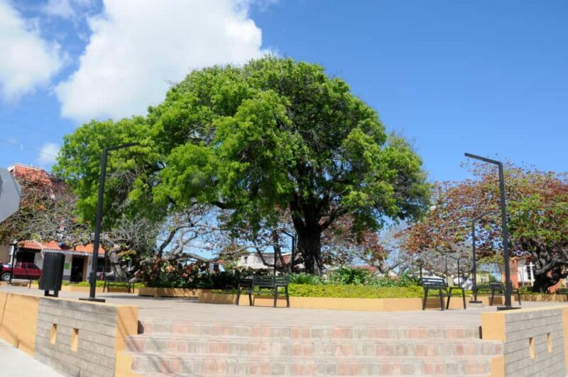 Puerto Plata City Tour and Cable Car Ride - The Experience: Smooth, Informative, and Value-Driven