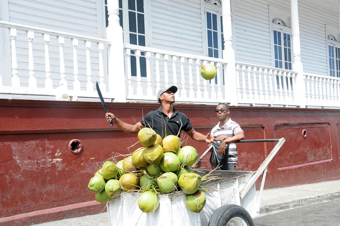 Puerto Plata City Tour - Inclusions and Accessibility