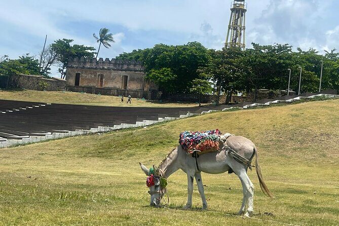 Puerto Plata City Tour Ron Puros Culture and History - What Do Travelers Say?