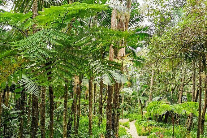 Puerto Plata City Tour with the Mount Isabel, Rum & Chocolate - Discovering Puerto Plata: A Well-Rounded Itinerary