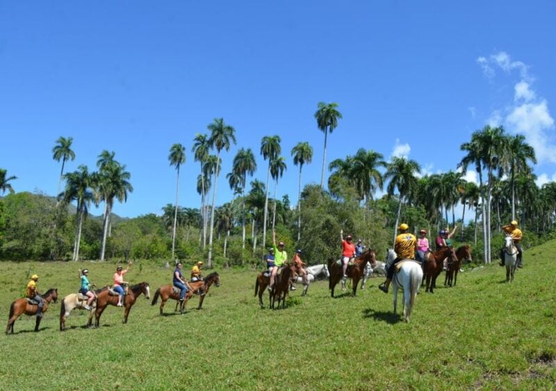 Puerto Plata Combo Experience: Zip-line + Horseback Riding - Highlights of the Experience