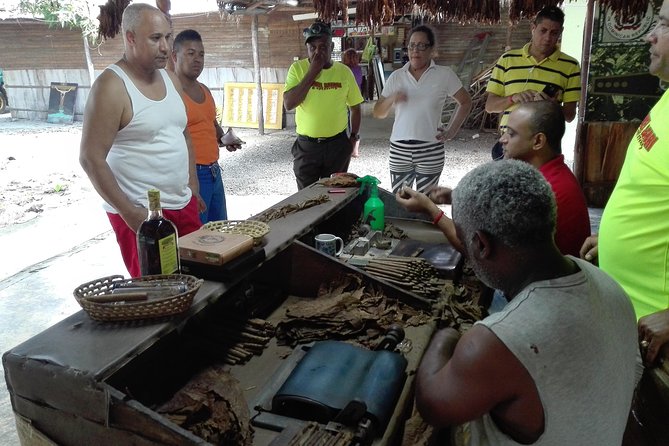 Puerto Plata: Cultural Escape Tour in Puerto Plata - Cacao Plantation Tour