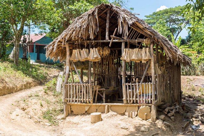 Puerto Plata: Cultural Escape Tour in Puerto Plata - Cheese Factory Exploration