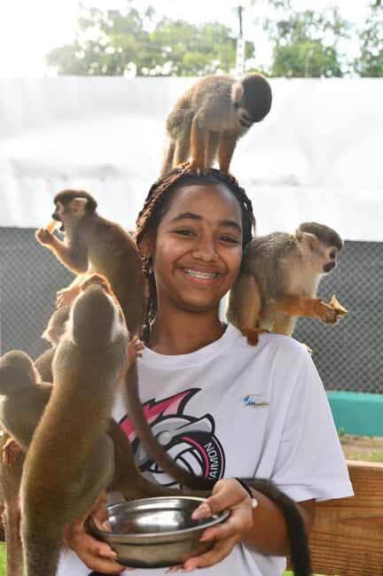 Puerto Plata: Cultural Tour & Ethical Monkey Observation - Why This Tour Works