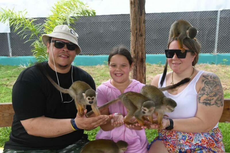 Puerto Plata: Cultural Tour & Ethical Monkey Observation - Final Thoughts