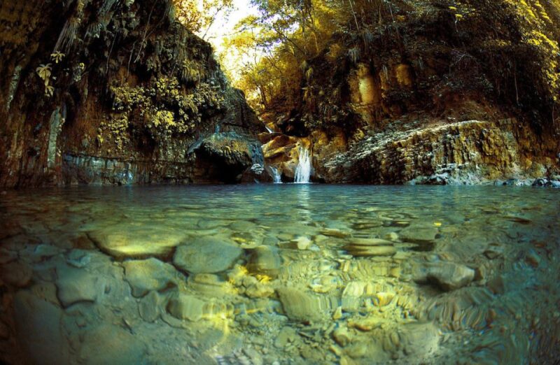 Puerto Plata: Damajagua Waterfalls Full-Day Adventure - Overview of the Experience