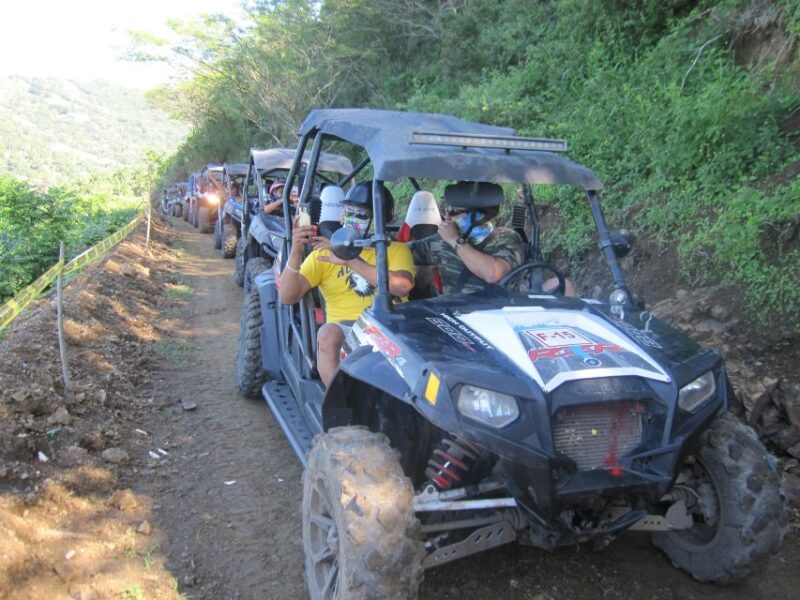 Puerto Plata: Damajaqua Cascades, Buggy Ride, and Zip Lining - Recommendations