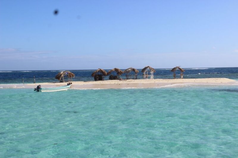 Puerto Plata: Day Trip to Cayo Arena Island by Speedboat - Trip Overview and Pricing