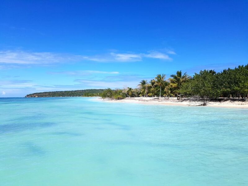 Puerto Plata: Day Trip to Cayo Arena Island by Speedboat - Customer Experience and Reviews