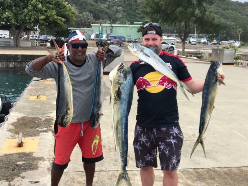 Puerto Plata: Deep Sea Fishing Tour - Booking and Reservations