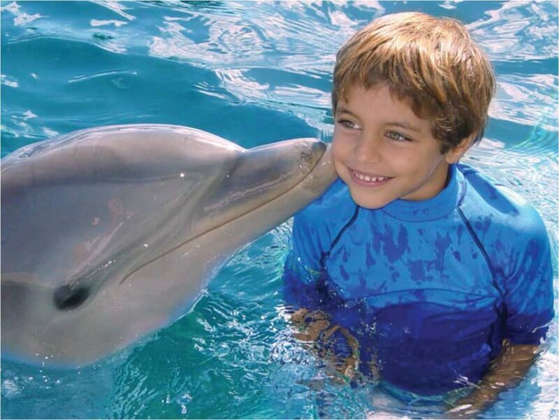 Puerto Plata: Dolphin Encounter at Ocean World - Key Points