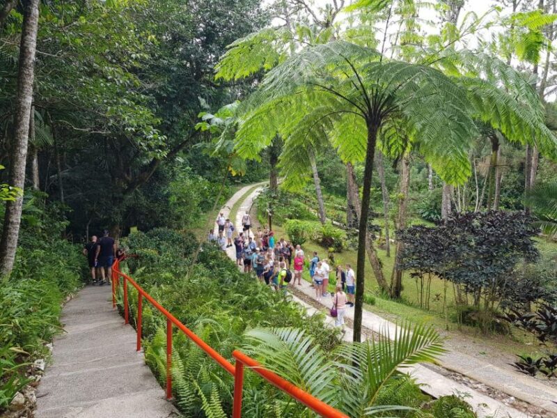 Puerto Plata: Guided Tour With Lunch and Rum Tasting - Itinerary Highlights