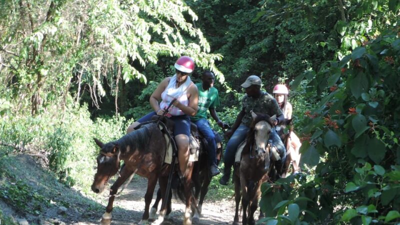 Puerto Plata: Half-Day Mountainside Horseback Riding - Inclusions