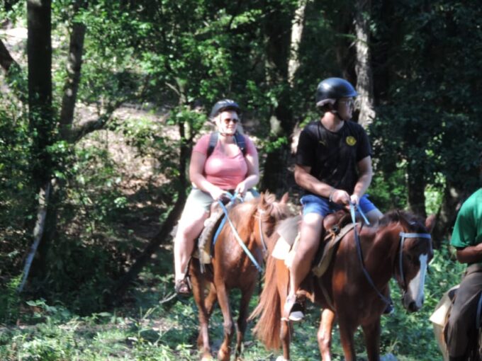 Puerto Plata: Half-Day Mountainside Horseback Riding - Local Farms and Mines