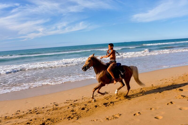 Puerto Plata: Horseback Riding on the Beach - Itinerary and Experience