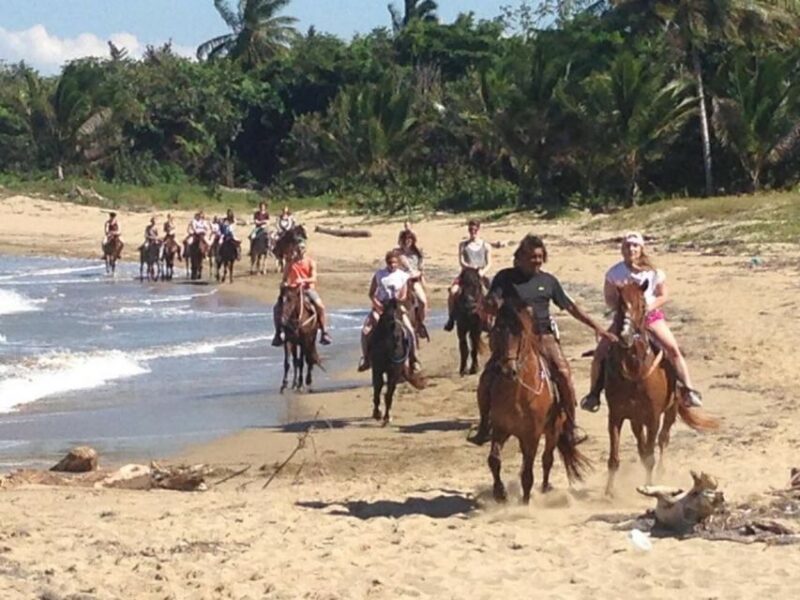 Puerto Plata: Horseback Riding on the Beach - Customer Reviews and Ratings