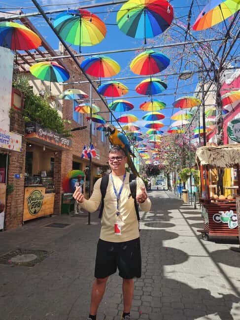 Puerto Plata: Monkey Tour, Fortress, and Historic Center - Pricing and Value