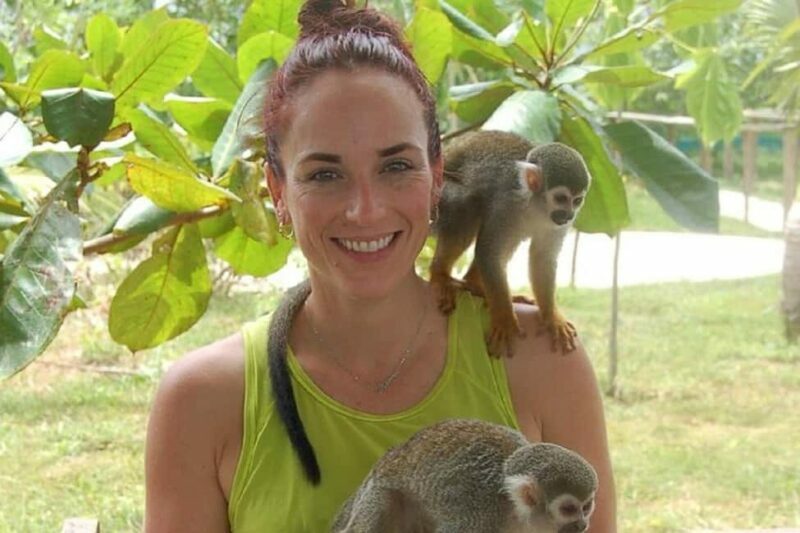 Puerto Plata: Monkey Tour, Fortress, and Historic Center - Authentic Experiences and Highlights