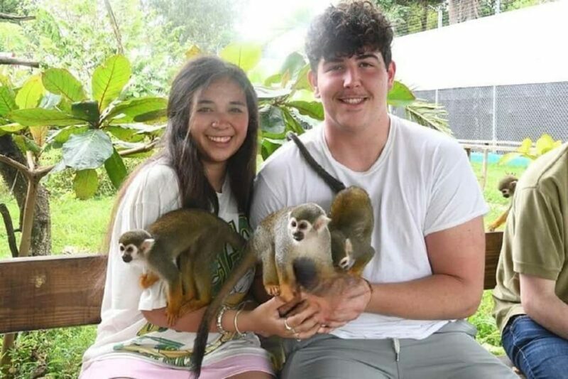 Puerto Plata: Monkey Tour, Fortress, and Historic Center - FAQ