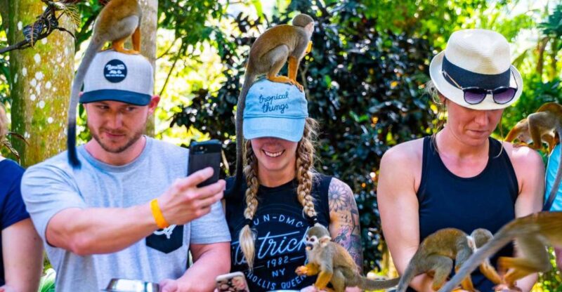 Puerto Plata: Monkeyland and Zip-Line Adventure - Key Points