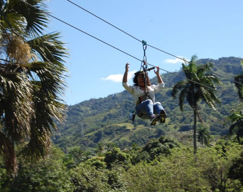 Puerto Plata: Monkeyland and Zip-Line Adventure - Safety and Accessibility