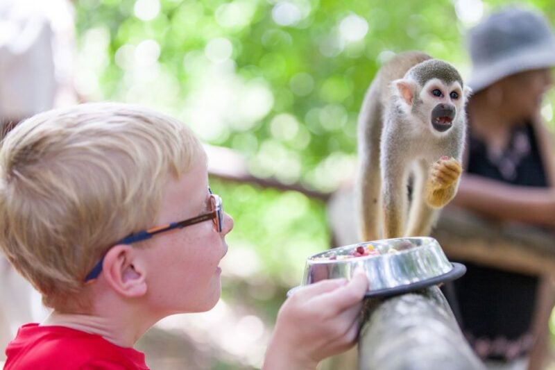 Puerto Plata: Monkeyland and Zip-Line Adventure - Inclusion and Logistics
