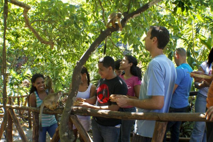 Puerto Plata: Monkeyland and Zip-Line Adventure - Frequently Asked Questions