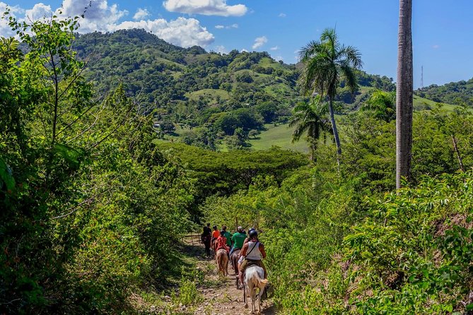 Puerto Plata: Mountain Half Day Horseback Riding - What to Expect on the Ride
