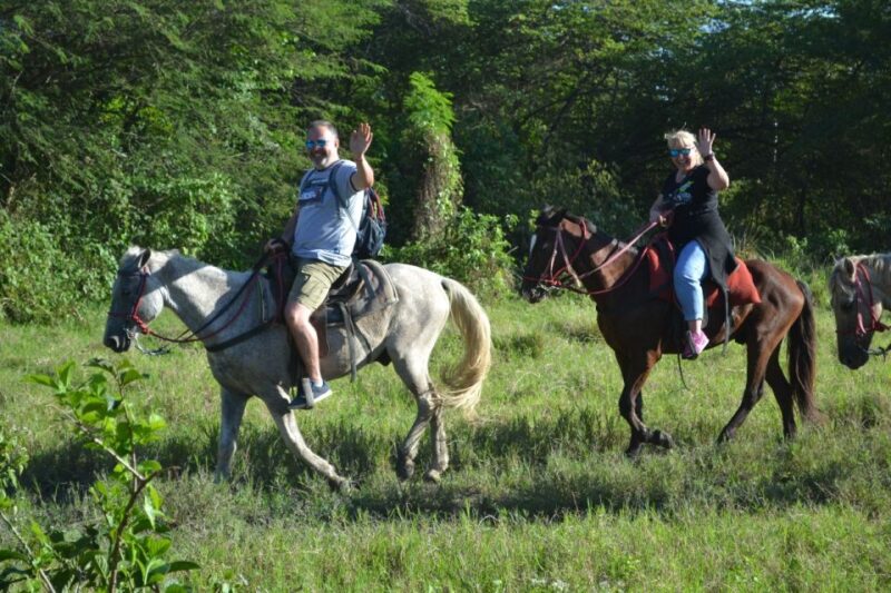 Puerto Plata: Mountain Horse Ride Tour With Drinks - Participant Guidelines