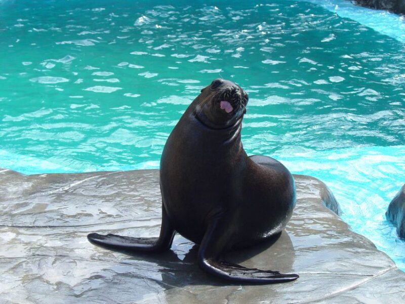 Puerto Plata: Ocean World Adventure Park Day Pass - Booking and Cancellation